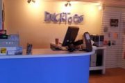 Ducktoes Computer Services