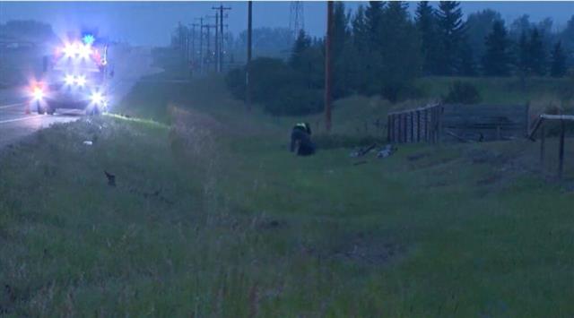 卡加少女无证飚车190km/h，朋友亲姐当场死亡