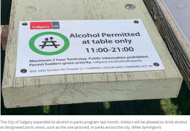 进步还是倒退？加国城市正在将公园内饮酒合法化