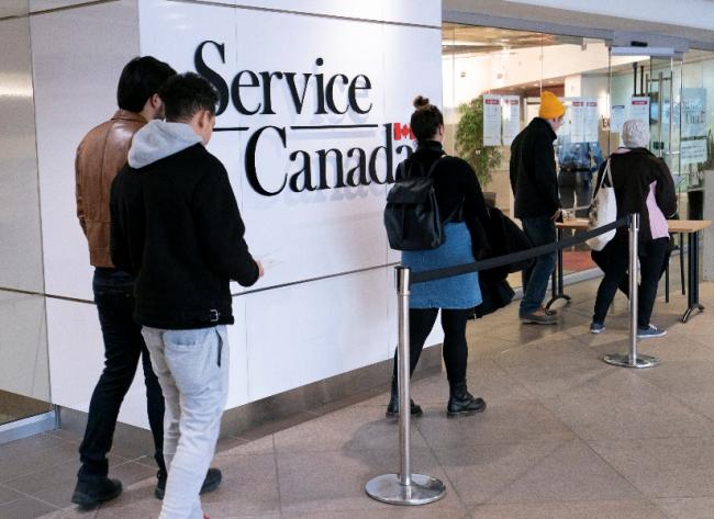60%加拿大人今夏不出国 护照、机场等太久