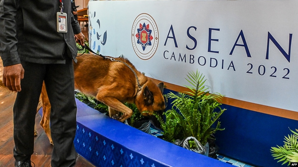 在柬埔寨金边，警犬正在搜索可能的爆炸物，这是即将到来的东盟峰会的安保措施之一。(2022年11月7日)