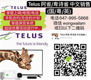 Telus上网/电视/手机/保安系统特价优惠